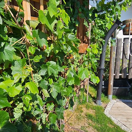 Blockhaus Im Sueden Deutschlands Villa Hoechenschwand Ngoại thất bức ảnh